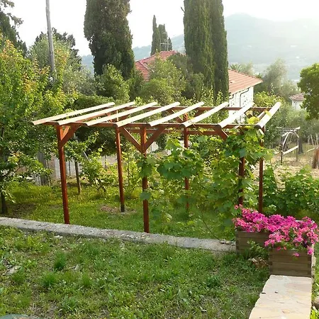 I 99 Olivi Holiday home Imperia