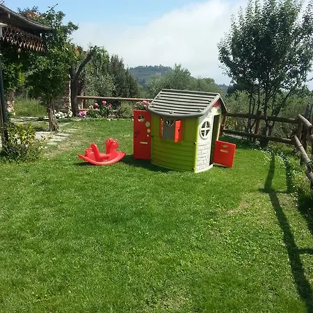 I 99 Olivi