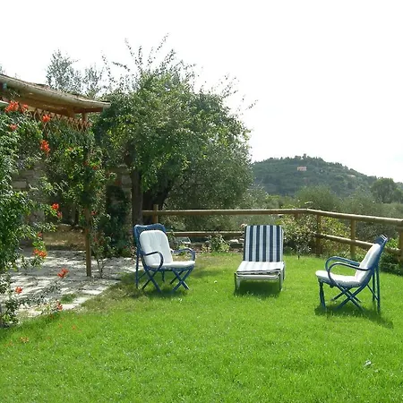 I 99 Olivi